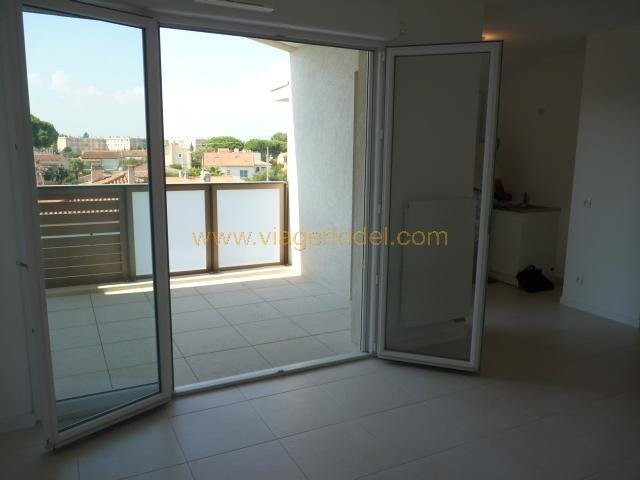 Fréjusफ़्रांस में अपार्टमेंट बिक्री के लिए. Fréjus फ़्रांस में, बिक्री के लिए अपार्टमेंट 1703266. Fréjus अपार्टमेंट, 1 bedroom_en, double pane windows_en, दक्षिण की ओर उन्मुख 27.1.2020,, फ़्रांस अपार्टमेंट