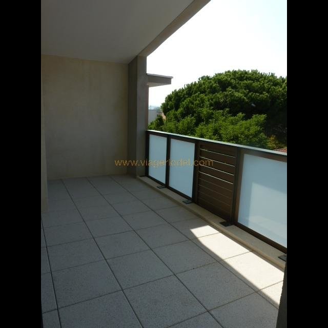 Fréjusफ़्रांस में अपार्टमेंट बिक्री के लिए. Fréjus फ़्रांस में, बिक्री के लिए अपार्टमेंट 1703266. Fréjus अपार्टमेंट, 1 bedroom_en, double pane windows_en, दक्षिण की ओर उन्मुख 27.1.2020,, फ़्रांस अपार्टमेंट