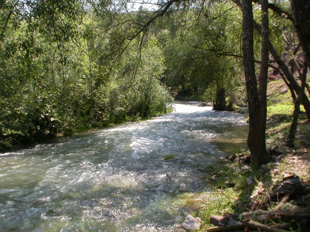 Appartement 125m&#178; te koop in La Colle-sur-Loup, Cote d'Azur - Zuid Frankrijk. Koop appartement 125m&#178; - 3 slaapkamers in La Colle-sur-Loup, Cote d'Azur - Zuid Frankrijk, 1 badkamer zwembad,, 498000 EUR 4.3.2020 1706949. Appartement te koop in La Colle-sur-Loup, Frankrijk.