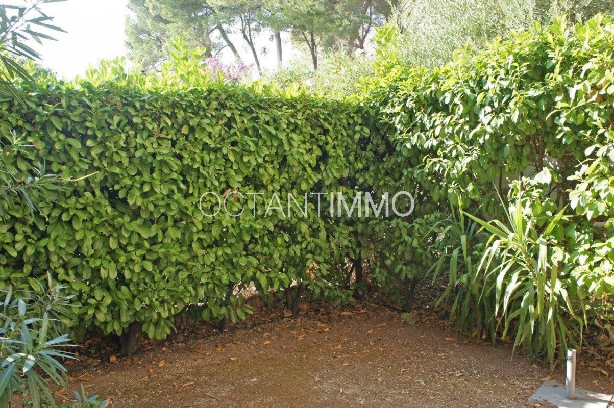 Pronájem bytu 3+1 69m² 2 ložnice dvojitá okna, bazén, východní orientace, jižní orientace, výhledy na moře v Biot, Alpes Maritimes, Francii. Pronájem bytu 69m² v Biot - Francii. Největší nabídka dlouhodobých pronájmů - Francii. Nemovitost je pronajímána Octantimmo v Biot Francii 1348 EUR 13.3.2020, 1708045