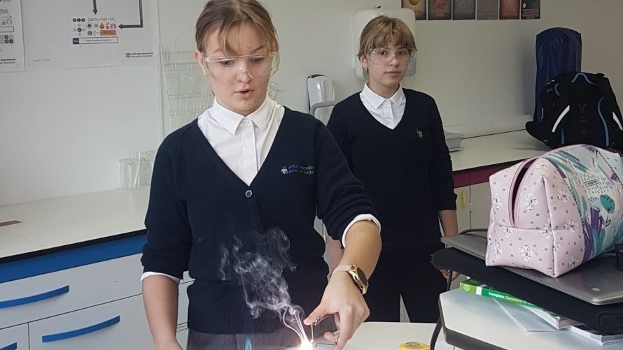 Year 9 Science