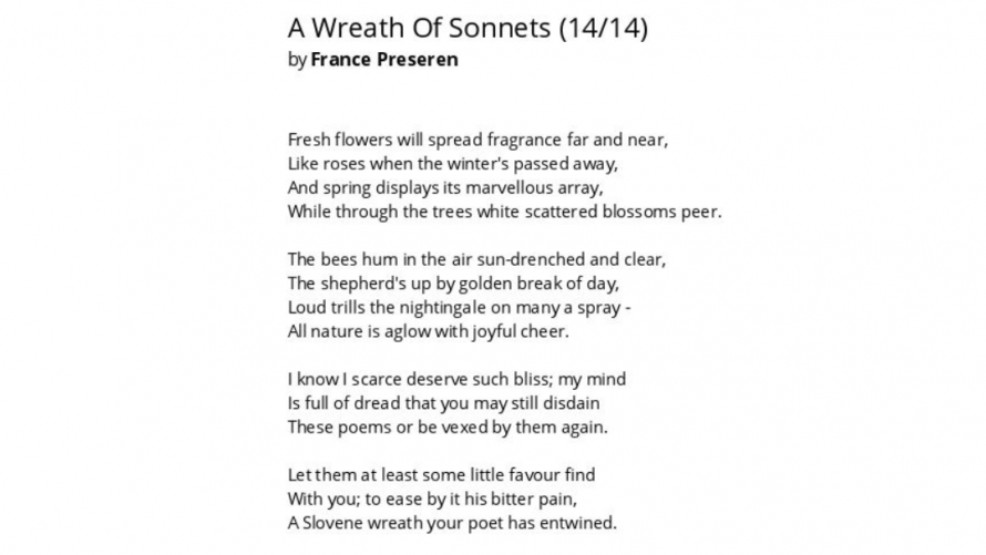 Sonet