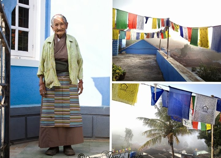 Save Tibet. Un aiuto ai profughi tibetani.