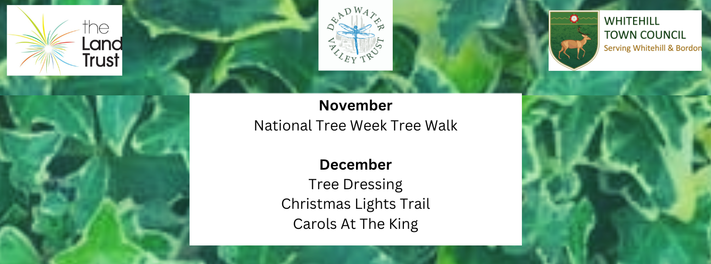 Card image event 1 image