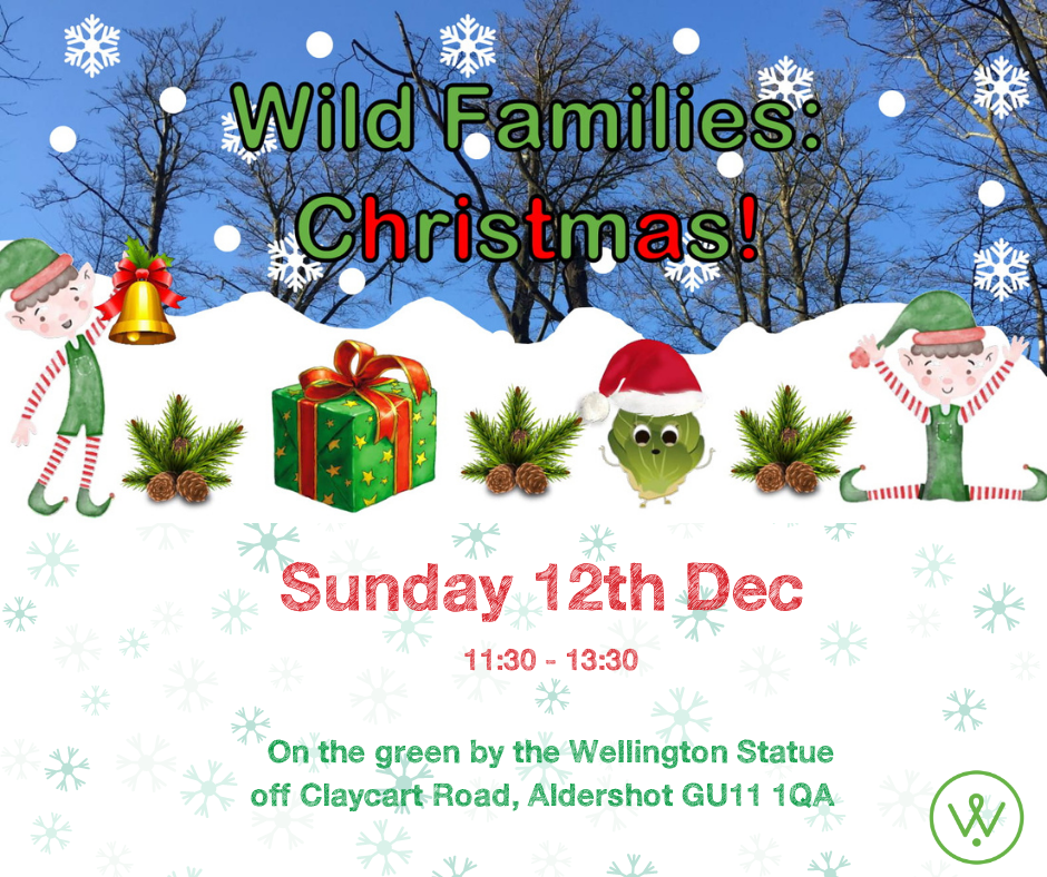 Wil family christmas poster with elves in a snoy forest