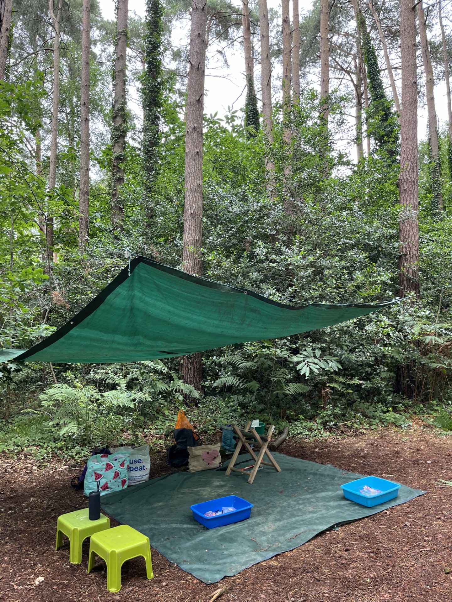 young children and their grown up sitting in a circle around a bonfire fire
