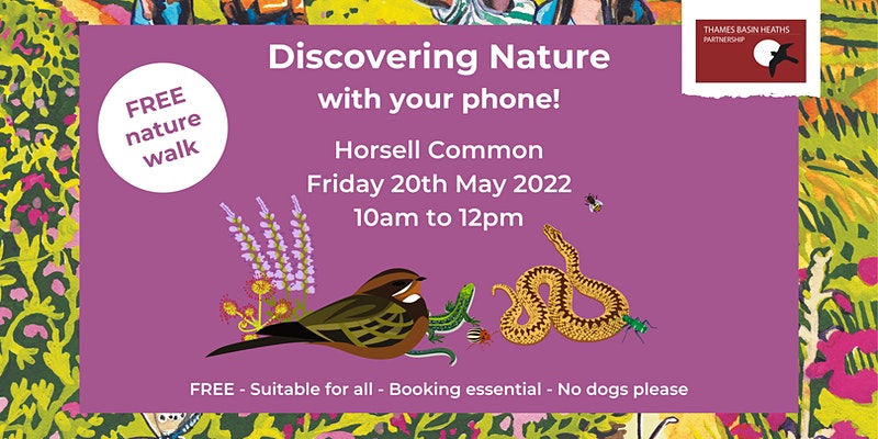 birds and snakes on a purple poster about the free nature activity in woking on the 20th May