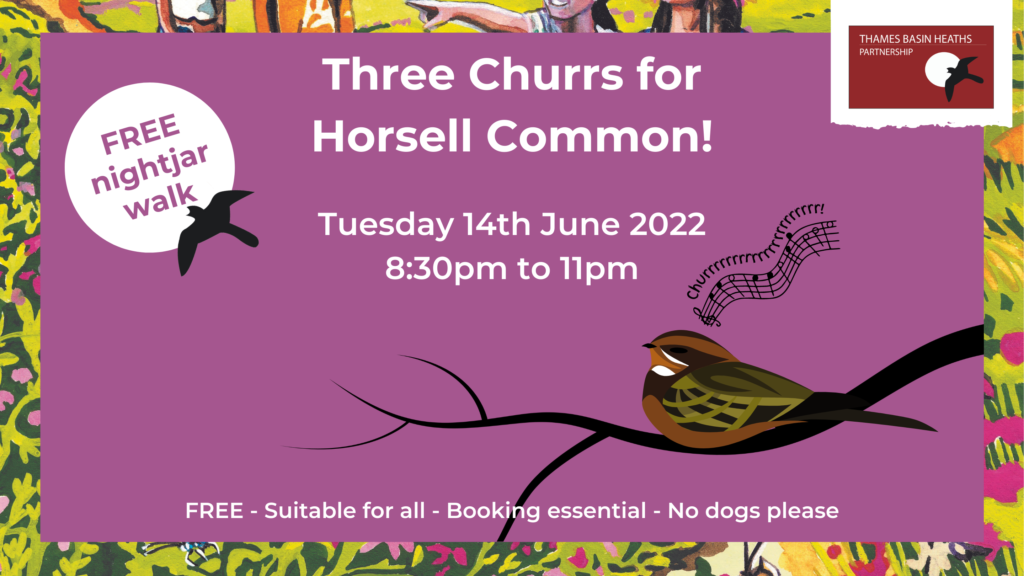 birds and snakes on a purple poster about the free nature activity in woking on the 20th May