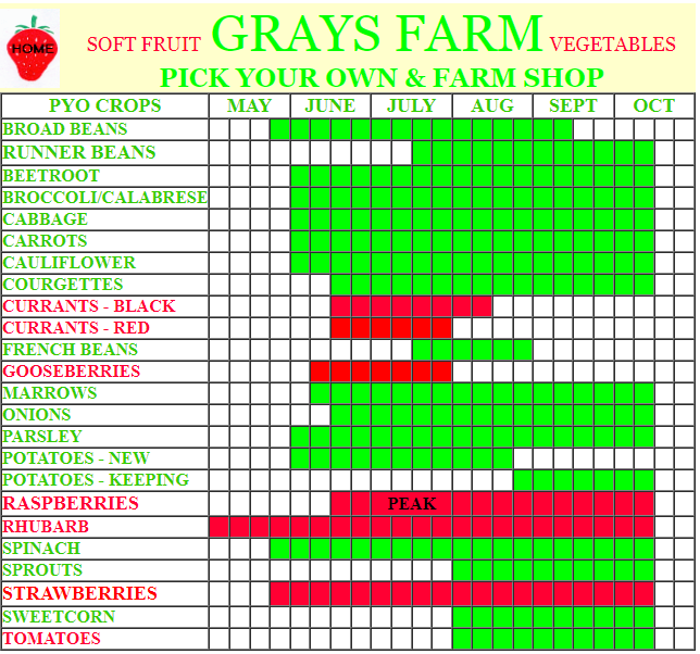 Card image event 1 image