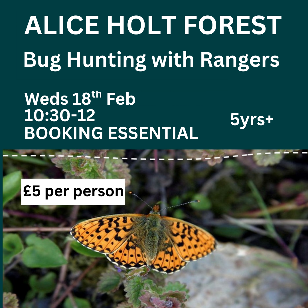 Card image event 1 image