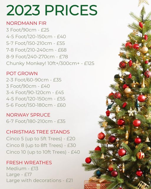 Sun 03Dec2023 0730 Fleet Christmas Tree's Fleet localfamily