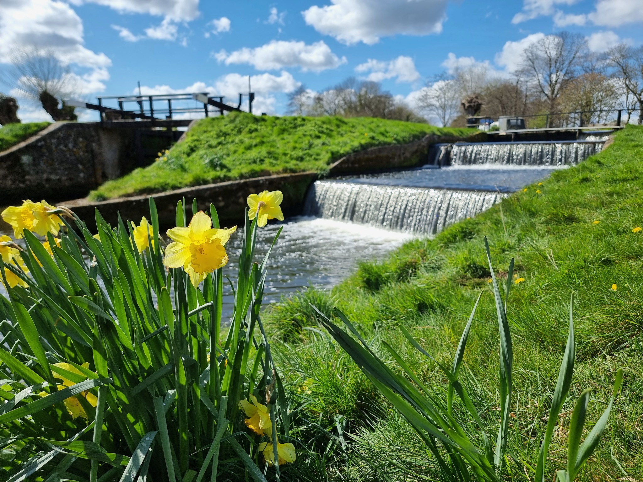 Card image event 1 image