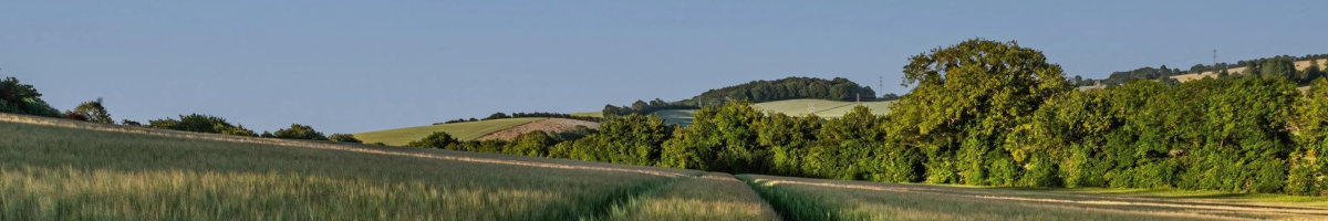 Card image event 1 image