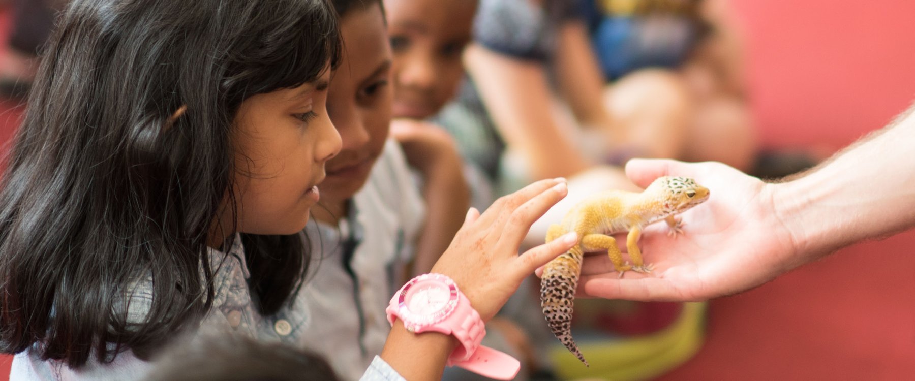 Card image event 1 image