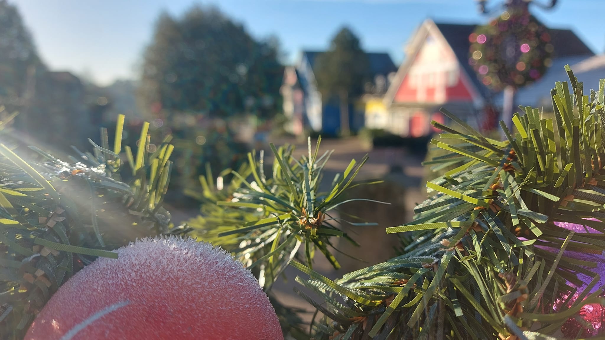 Card image event 1 image