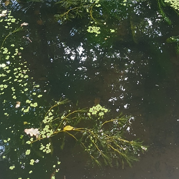 Card image event 1 image