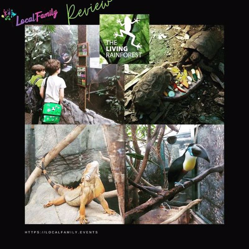 Card image event 1 image