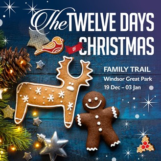 Savil gardens christmas trail