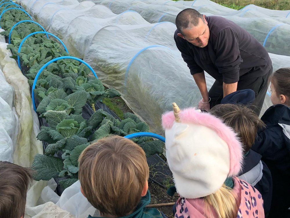 Children looking at the vegetables growing under poly tunnels