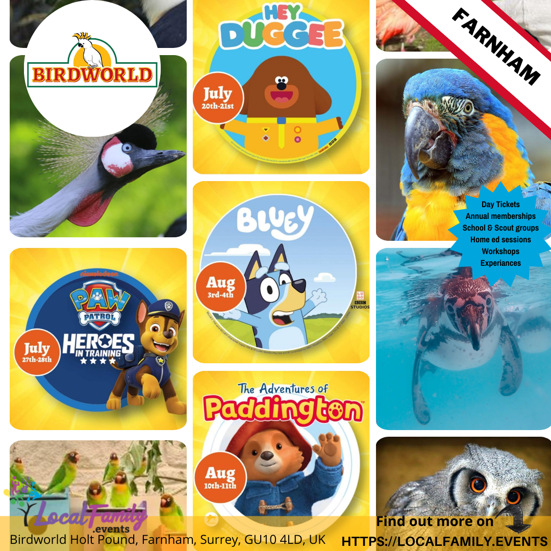 Card image event 1 image