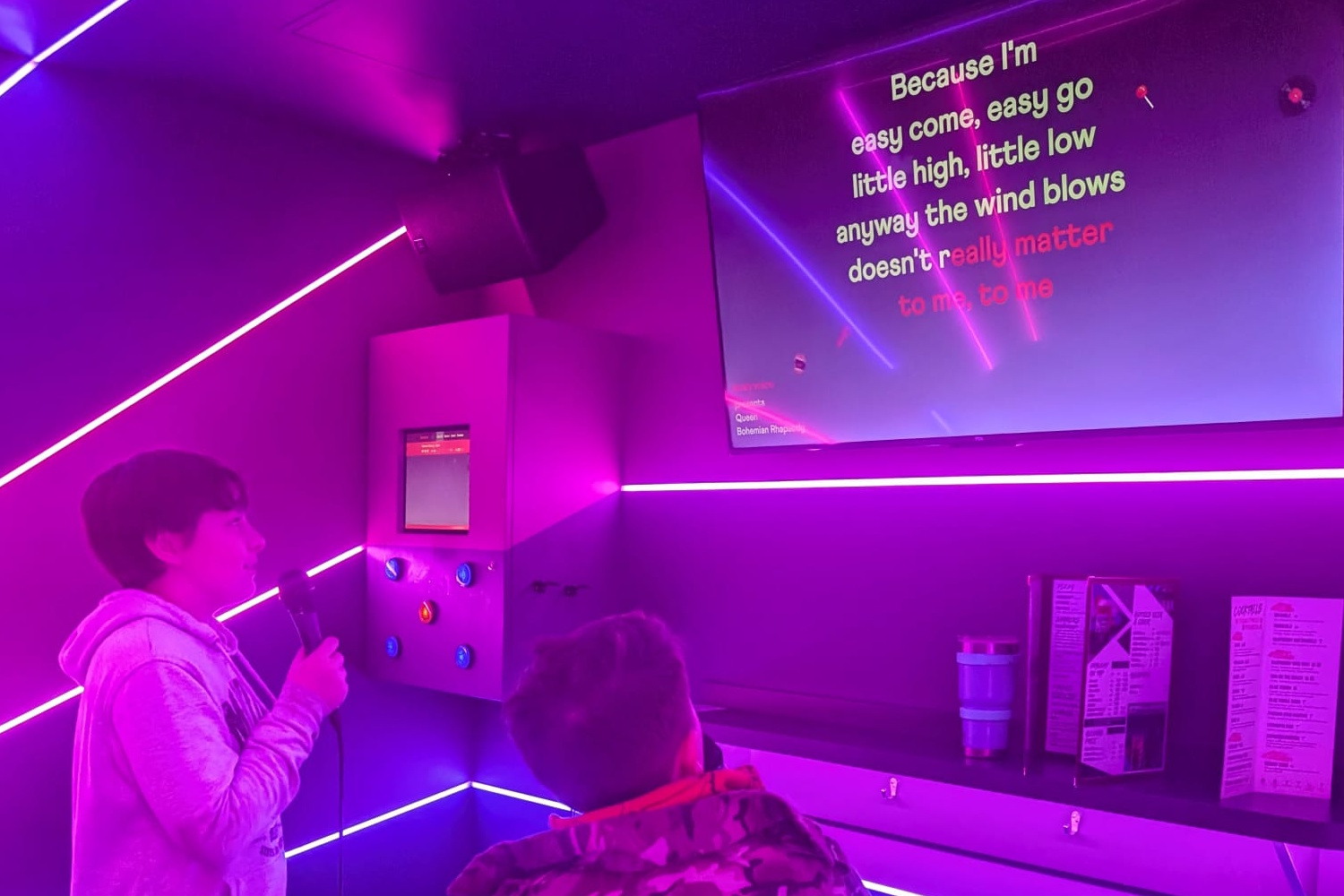 2 boys singing Karaoke looking at the screen