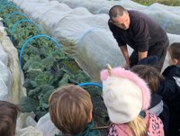 Farnham Community Farm - Image 1 of 2