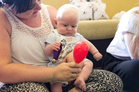 Lullababy - Normandy - Image 1 of 8