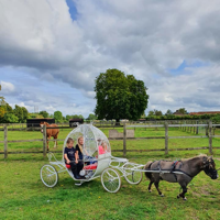 Daisy's Pony Carriages Hire Farnham - Image 1 of 1