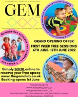 The Gem Club - Hook - Image 1 of 3