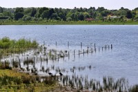 Tice's meadow nature reserve thumbnail 2