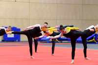 TGA Gymnastics  - Image 1 of 1