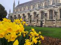 Winchester Cathedral - Image 1 of 1