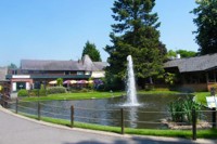 Bird World thumbnail 2