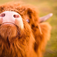 Cholderton Charlies farm - Family venue gallery Cholderton Charlies farm - Image 1 of 1