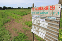 Grays Farm - Family venue gallery Grays Farm - Image 1 of 1