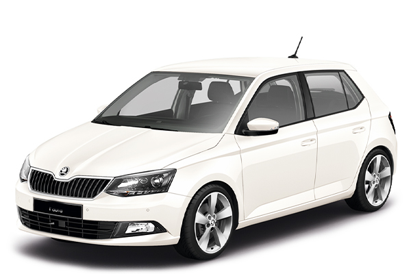 1.0 fabia