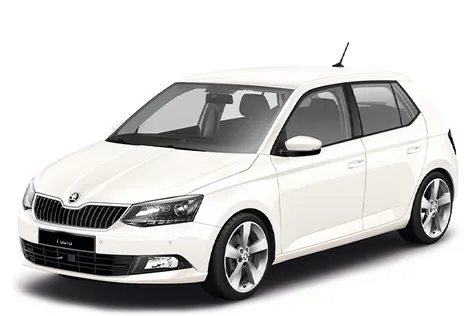 Skoda Fabia 2018 — rental Herceg-Novi