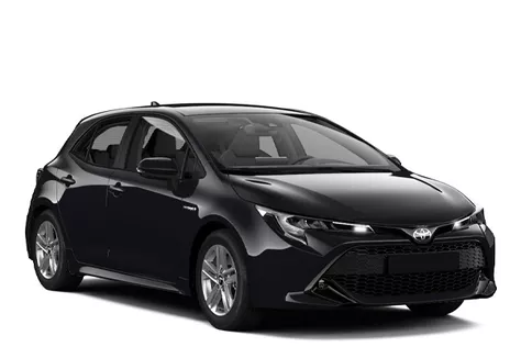 Toyota Corolla 2020 — rental Djenovici
