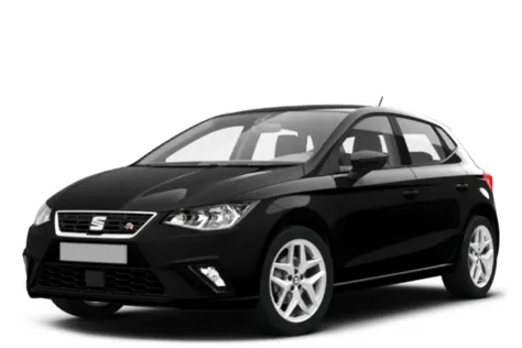 SEAT Ibiza 2021 — rental Agia Pelagia (Crete)