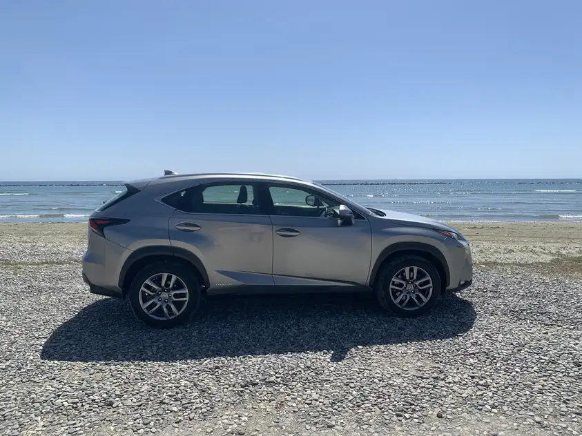 Lexus NX 300