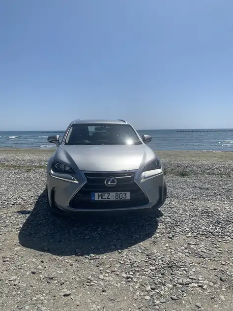 Lexus NX 300