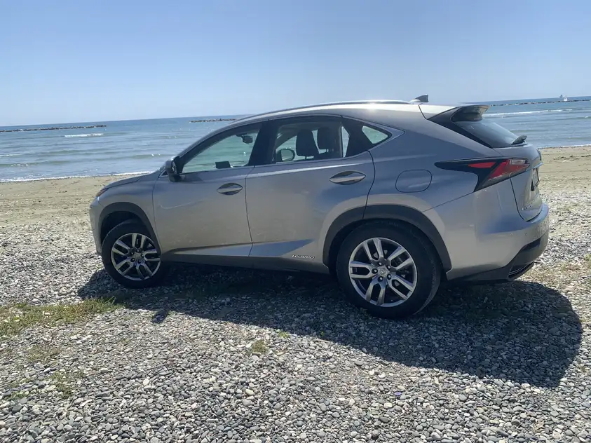 Lexus NX 300