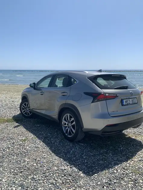 Lexus NX 300