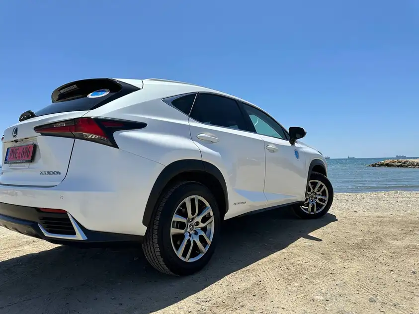Lexus NX 300
