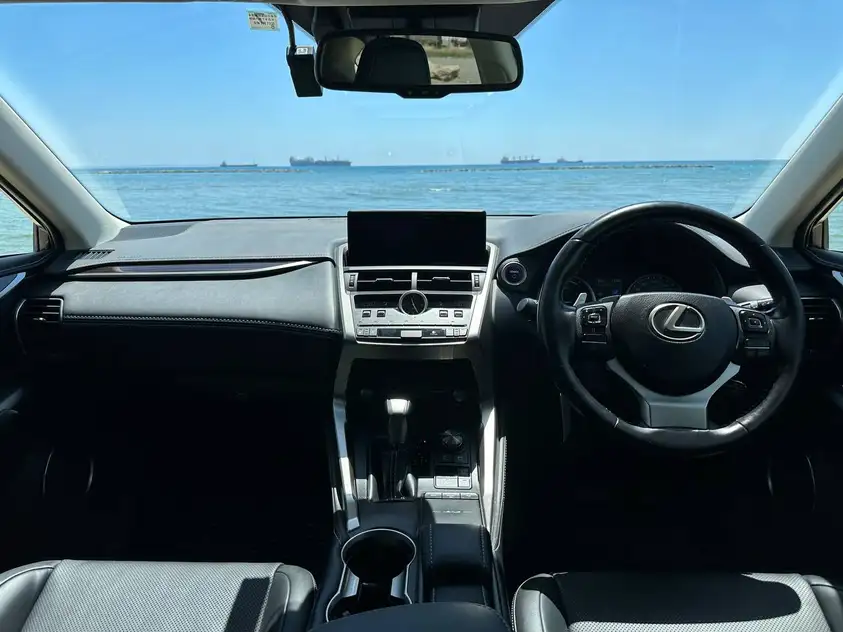Lexus NX 300