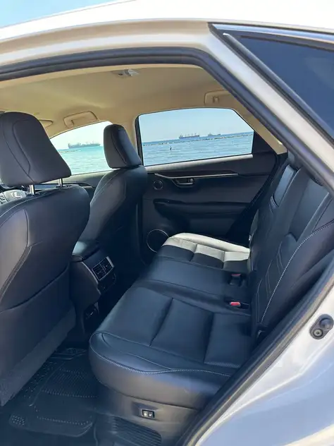 Lexus NX 300