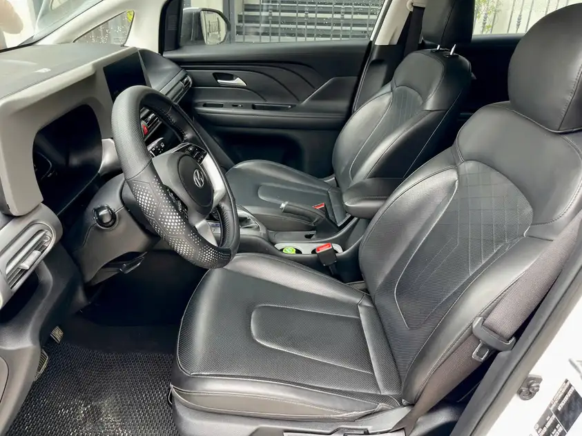 Hyundai Stagazer