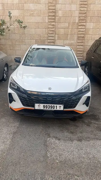 DongFeng Shine
