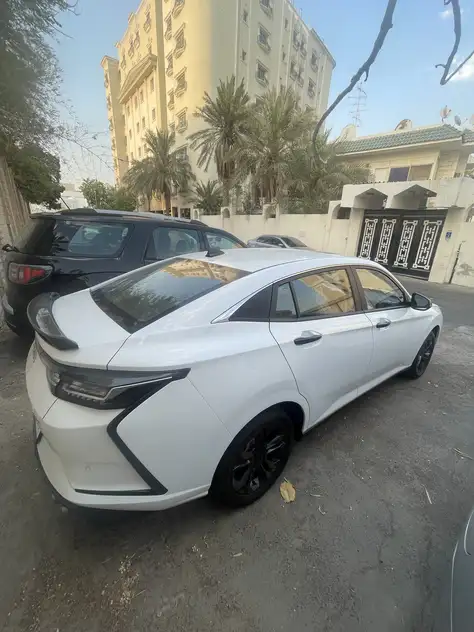 DongFeng Shine