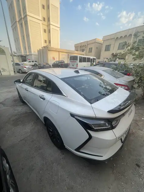 DongFeng Shine